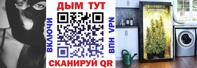 купить   Вяземский  маркетплейс официальный сайт  Канабис AK-47 
